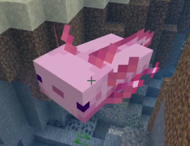 Minecraft Ajolote