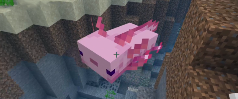 Ajolote Minecraft Minecraft Ajolote